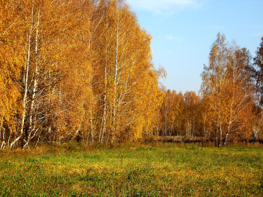 36235 (a): :1024x768
